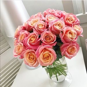 Meet your Posher, Lernik